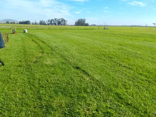 Roll on lawn Kikuyu grass