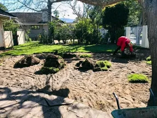 Roll on lawn Kikuyu grass