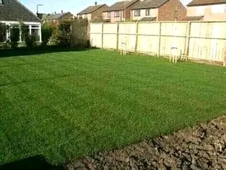 Lm Berea grass and buffalo grass