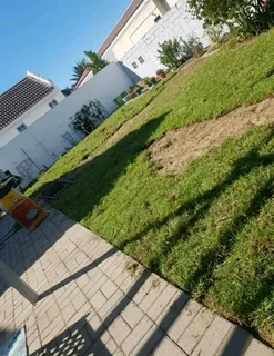 Roll on lawn Kikuyu grass