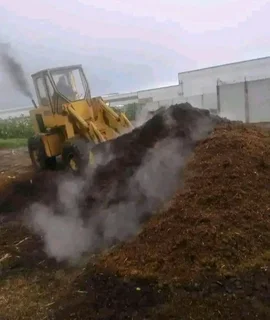 Roll on lawn Kikuyu grass