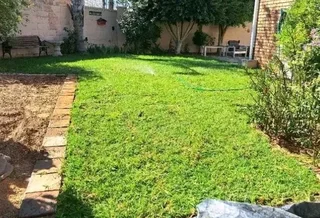 Roll on lawn Kikuyu grass