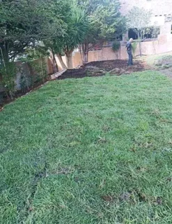 We do have stock of. Cyndone grass and/  Lm Berea grass