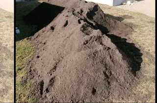 We do have stock of. Cyndone grass and/  Lm Berea grass