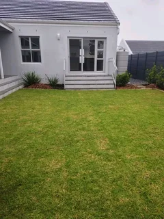 Delivery or installa buffalo grass