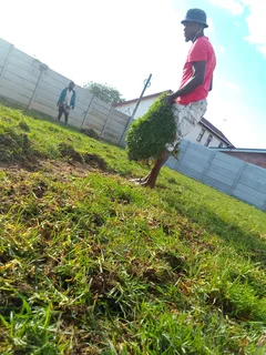 Free and green from fram