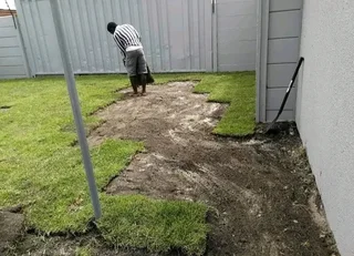 Roll on lawn buffalo grass