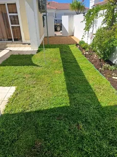 Roll on lawn Kikuyu grass