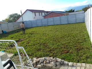 Roll on lawn Kikuyu grass