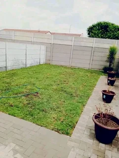 Roll on lawn Kikuyu grass