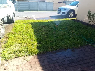 Roll on lawn Kikuyu grass