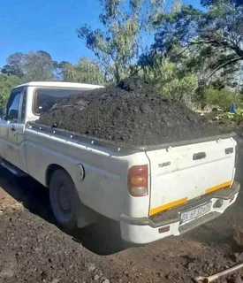 Roll on lawn Lm Berea grass