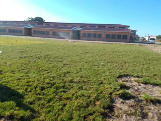 Roll on lawn Lm Berea grass