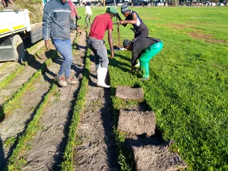 We do supply and installa call type of roll on lawn Lm Berea grass and buffalo grass