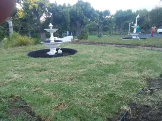 We do supply and installa call type of roll on lawn Lm Berea grass and buffalo grass