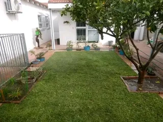 Fresh and green national grass