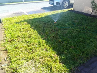 Fresh and green national grass