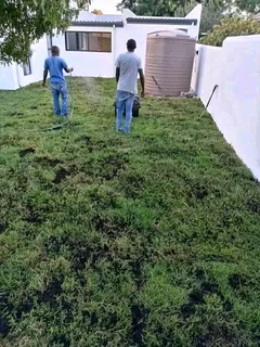 Fresh and green national grass