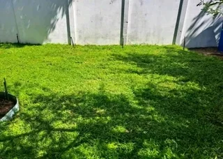 PROFESSIONALS WITH IMMENSE EXPERIENCE IN INSTALLATION &amp; LAYING NATIONAL GRASS