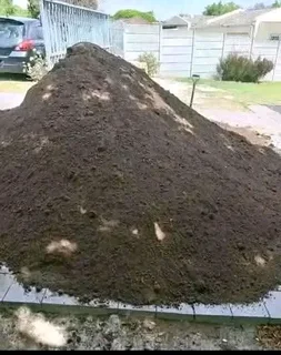 Roll on lawn Kikuyu grass