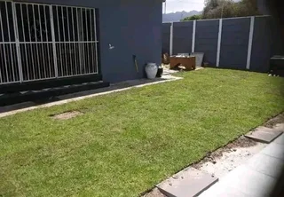 Roll on lawn Kikuyu grass