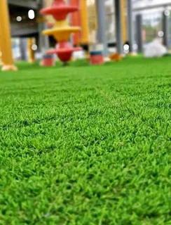 Roll on lawn buffalo grass