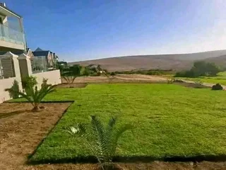 We do roll on lawn call type of national grass