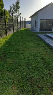 GREEN AND FRESH GRASS STRAIGHT FROM THE FARM  WhatsApp number 0672707801 PROFESSIONALS WITH IMMENSE