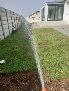 GREEN AND FRESH GRASS STRAIGHT FROM THE FARM  WhatsApp number 0672707801 PROFESSIONALS WITH IMMENSE