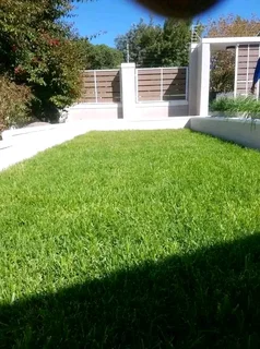 We do supply and installation off buffalo grass and Kikuyu grass