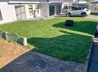 GREEN AND FRESH GRASS STRAIGHT FROM THE FARM  WhatsApp number 0672707801