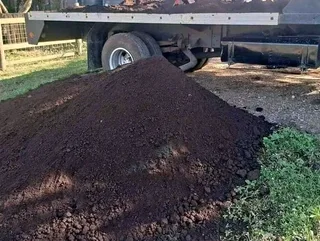 GREEN AND FRESH GRASS STRAIGHT FROM THE FARM  WhatsApp number 0672707801