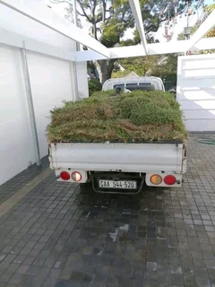 Supply and installa Lm Berea grass