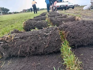 Delivery or installa green grass