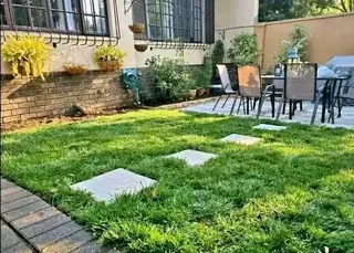 Delivery or installa green grass