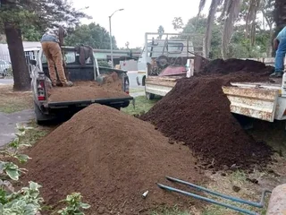 Delivery or installa green grass