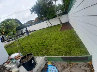 Delivery or installa green grass