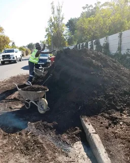 Delivery or installa call type of national grass