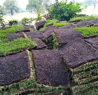 Delivery or installa call type of national grass