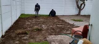 Supply and installa off LM Berea grass