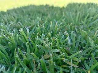 Supply and installa off national green grass