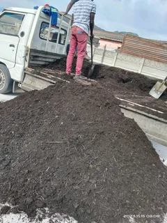 Supply and installa buffalo grass