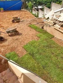 We supply and installa buffalo grass and Kikuyu grass