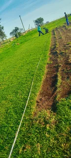 Supply and installa Lm Berea grass