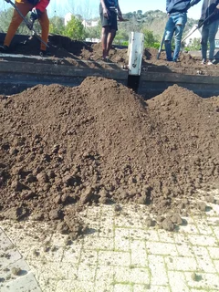 Supply and installa Lm Berea grass