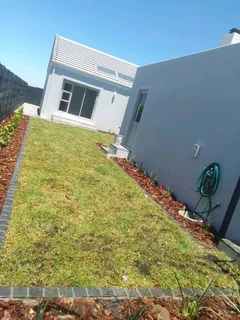 Supply and installa Kikuyu grass