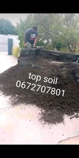 Roll on lawn Lm Berea grass and Kikuyu grass