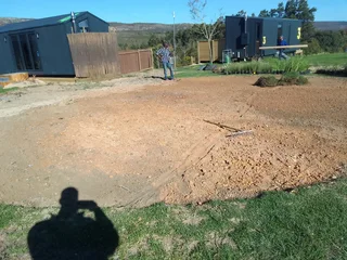 Cyndone grass and buffalo grass weed free