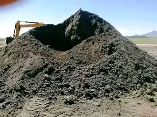 Cyndone grass and buffalo grass weed free