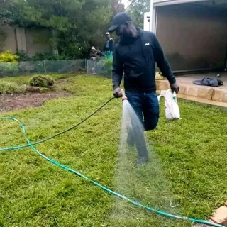 Cyndone grass and buffalo grass weed free